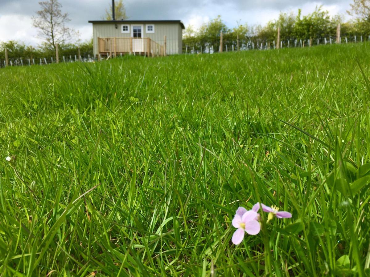 Rosemary Shepherds Hut, Clay Bank Huts Ingleby Greenhow Dış mekan fotoğraf